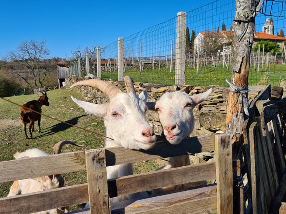 Zakladi Istre | Avtor: Zakladi Istre