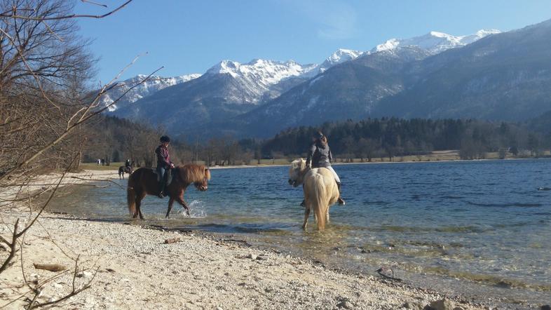 Bohinj