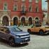 fiat grizzly in grizzly fastback