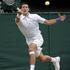 wimbledon polfinale djokovic tsonga 2011