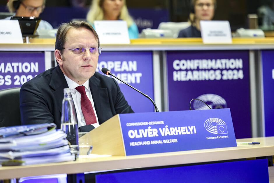 Oliver Varhelyi, komisarski kandidat, zaslišanje | Avtor: Alexis HAULOT/Evropski parlament