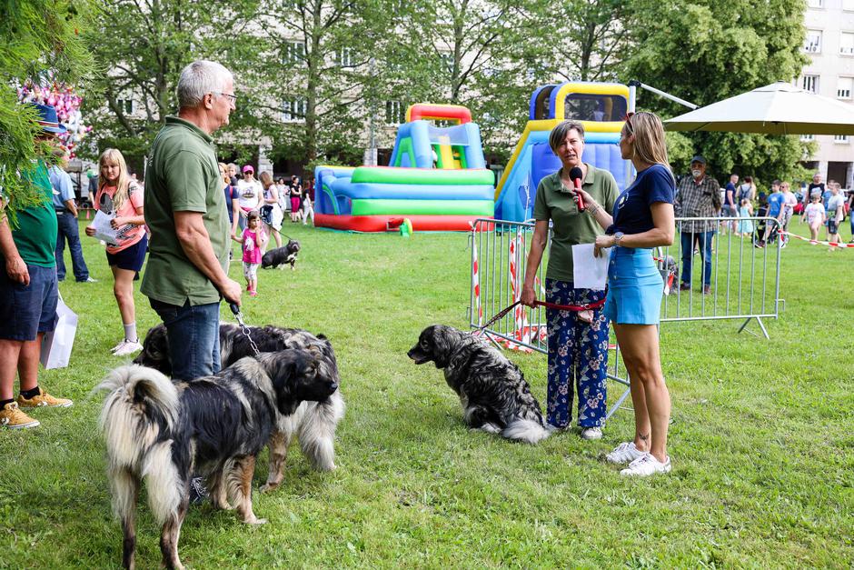 Festival za ljubitelje živali 2023 | Avtor: Saša Despot