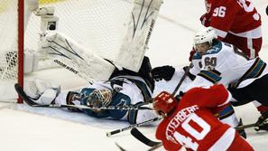 Detroit Red Wings : San Jose Sharks 3:1