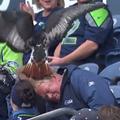 Taima Seattle Seahawks