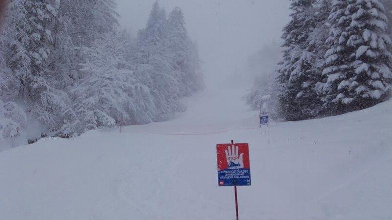 Osebe na plazu, zaprta pot, Zelenica