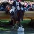 Eventing Cross Country, World Equestrian Games in Lexington, Kentucky