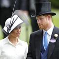 meghan markle, princ harry, princ William