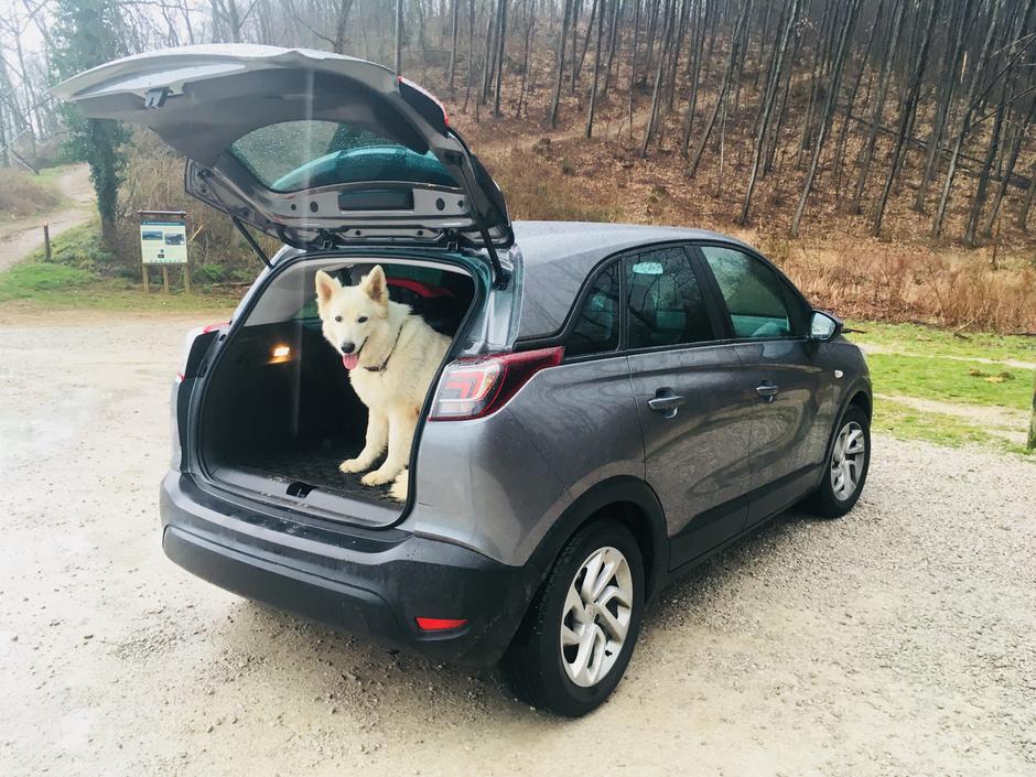 Opel Crossland X | Avtor: A. Š.