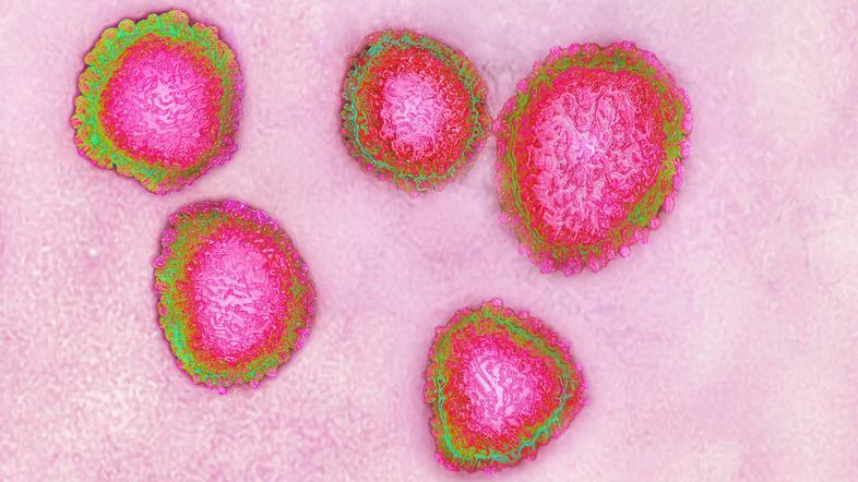 Koronavirus covid-19