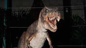 T. rex