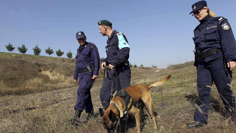 Grški policisti patruljirajo na delu meje s Turčijo, blizu mesta Orestiada. (Fot