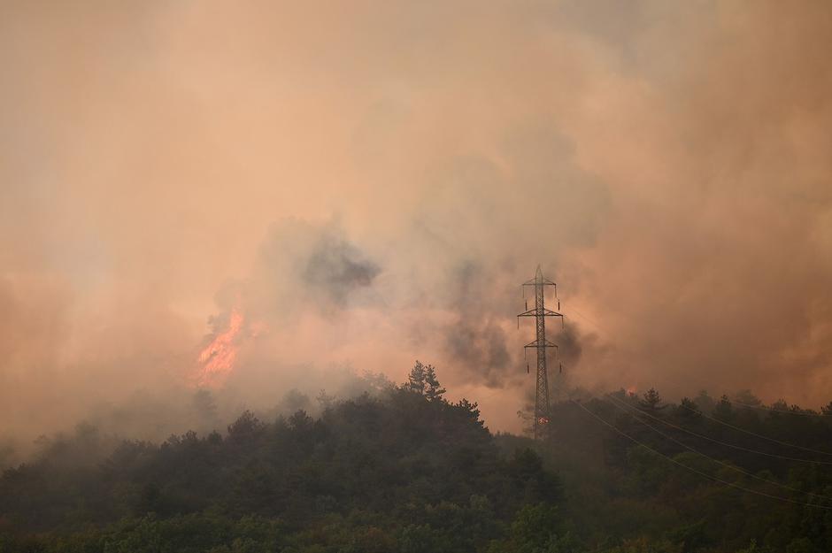 Požar na Krasu | Avtor: Profimedia