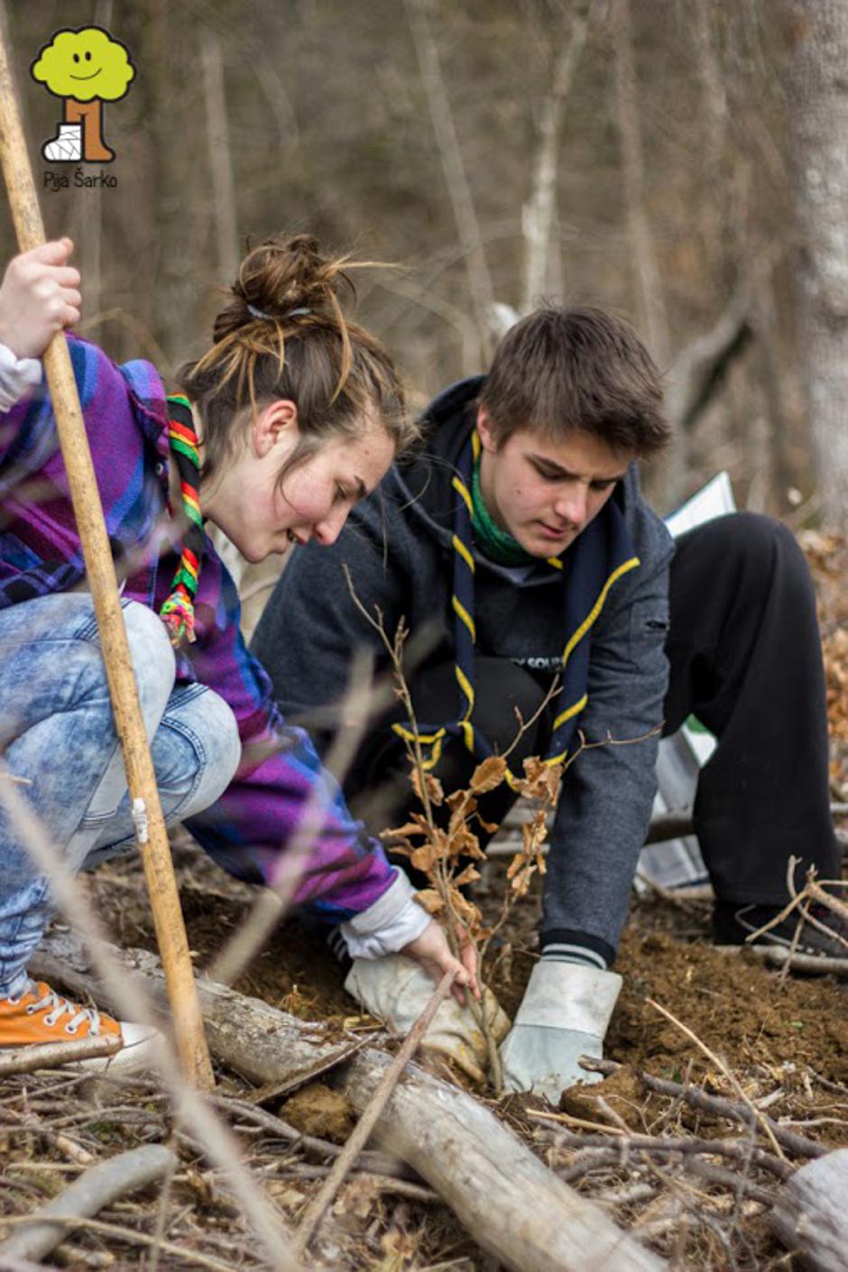 Obnovimo gozdove | Avtor: Pija Šarko