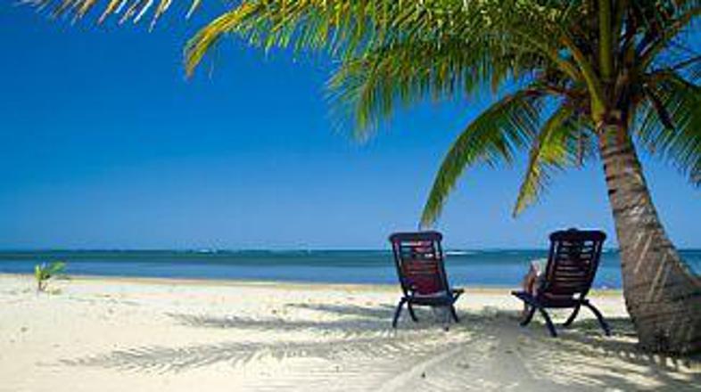 Čas bi najbrž našli. Kaj pa denar?