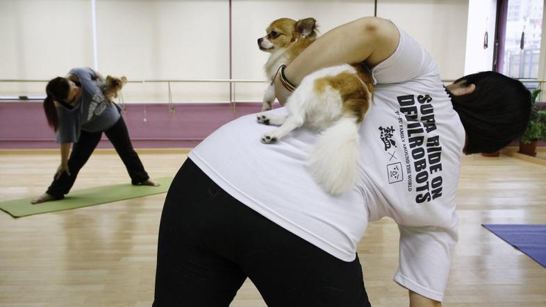 Joga za pse na Kitajskem