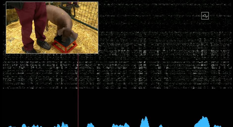 Neuralink | Avtor: Neuralink