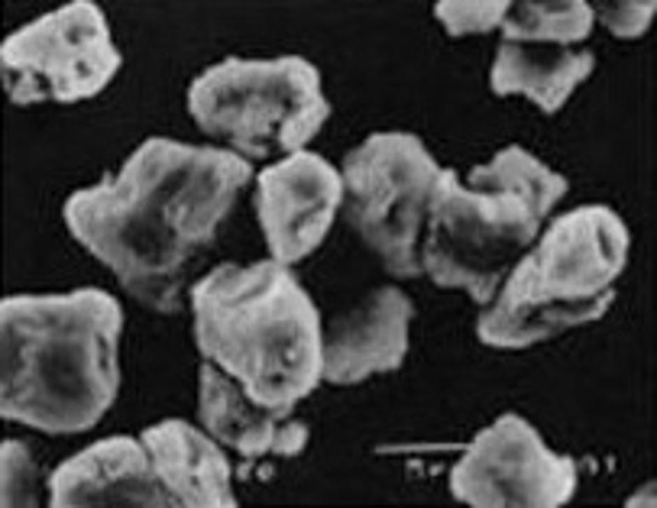 Toner prah | Avtor: Multimedija