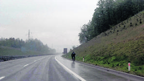 Bralec je v bližini Radovljice v objektiv ujel kolesarja, ki se je peljal kar po