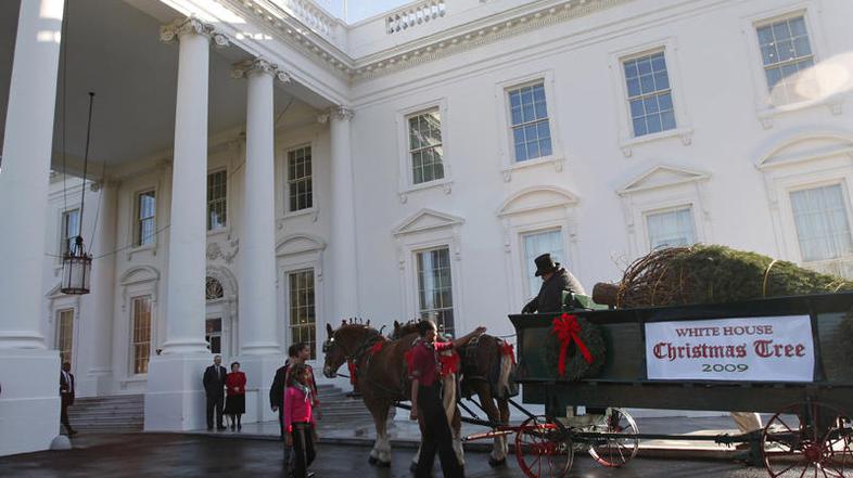 Novoletna smrekica pred Belo hišo