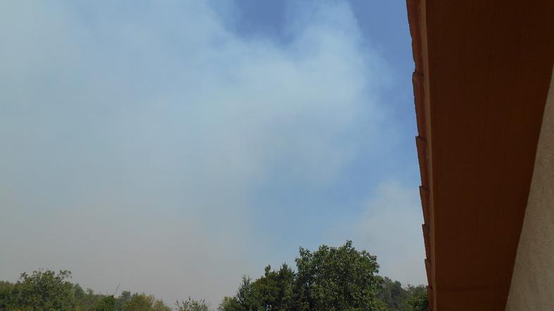 Ester Rajh - požar pri Komnu