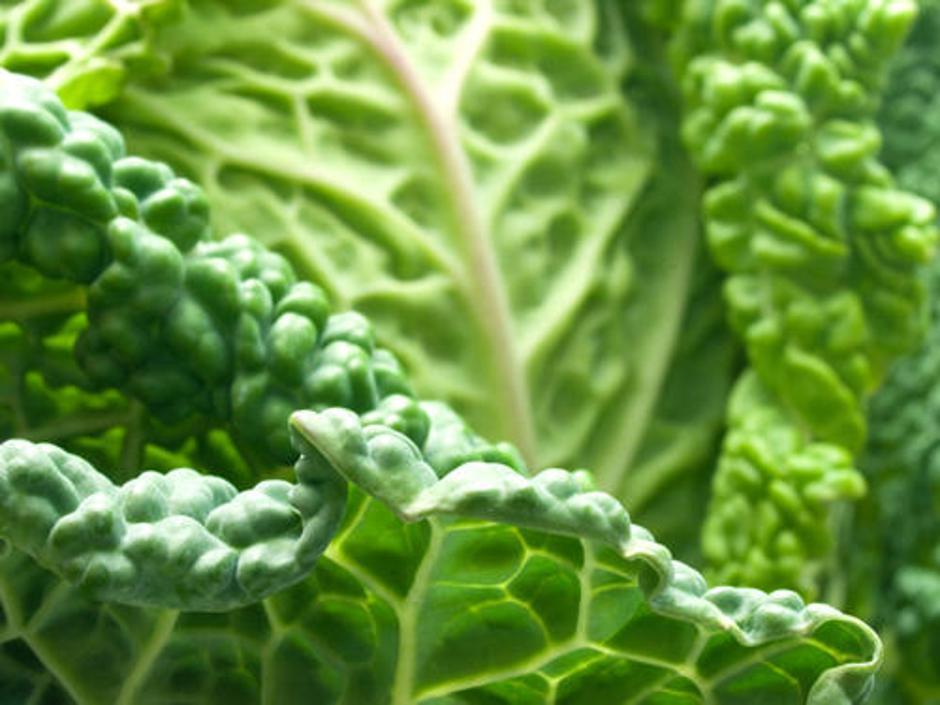 ohrovt | Avtor: Žurnal24 main