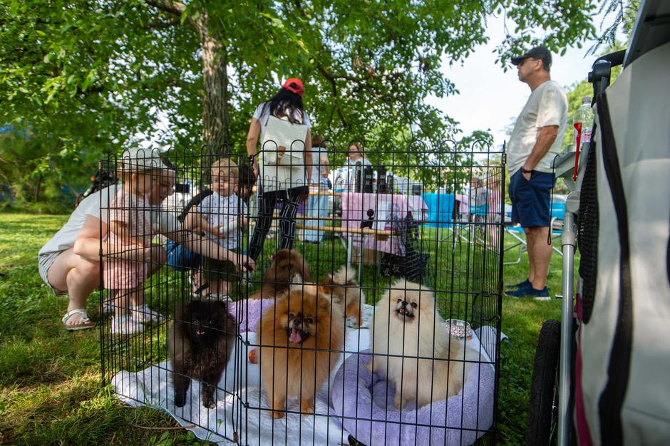 Festival za ljubitelje živali | Avtor: Anže Petkovšek