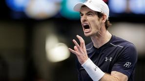 andy murray