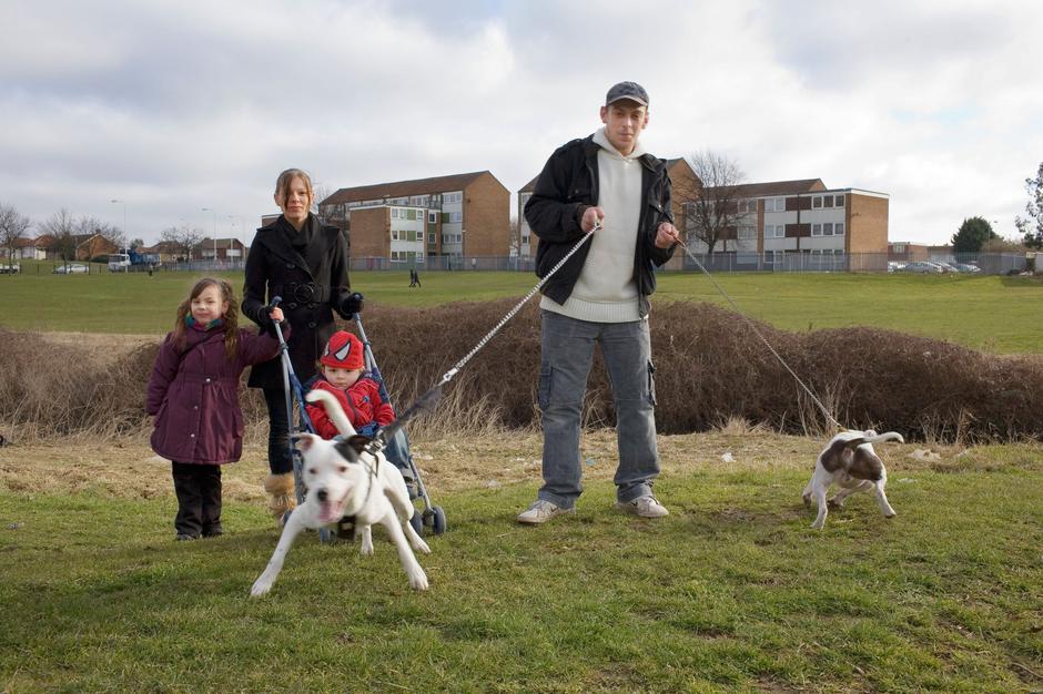 agresiven pes | Avtor: Profimedia