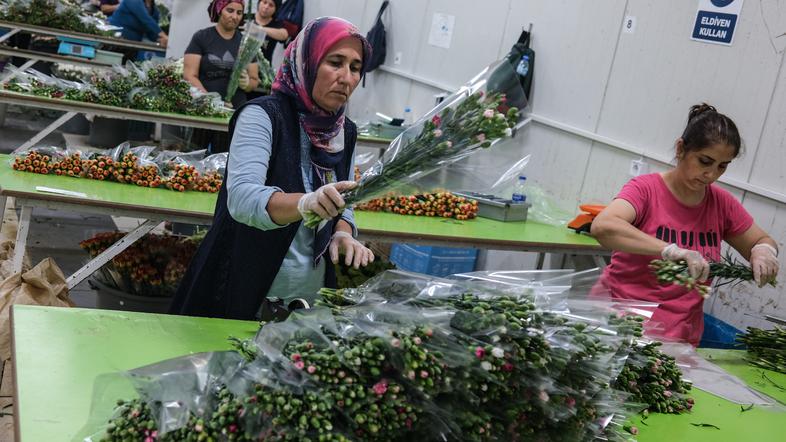 Elizabeta II. cvetje Turčija