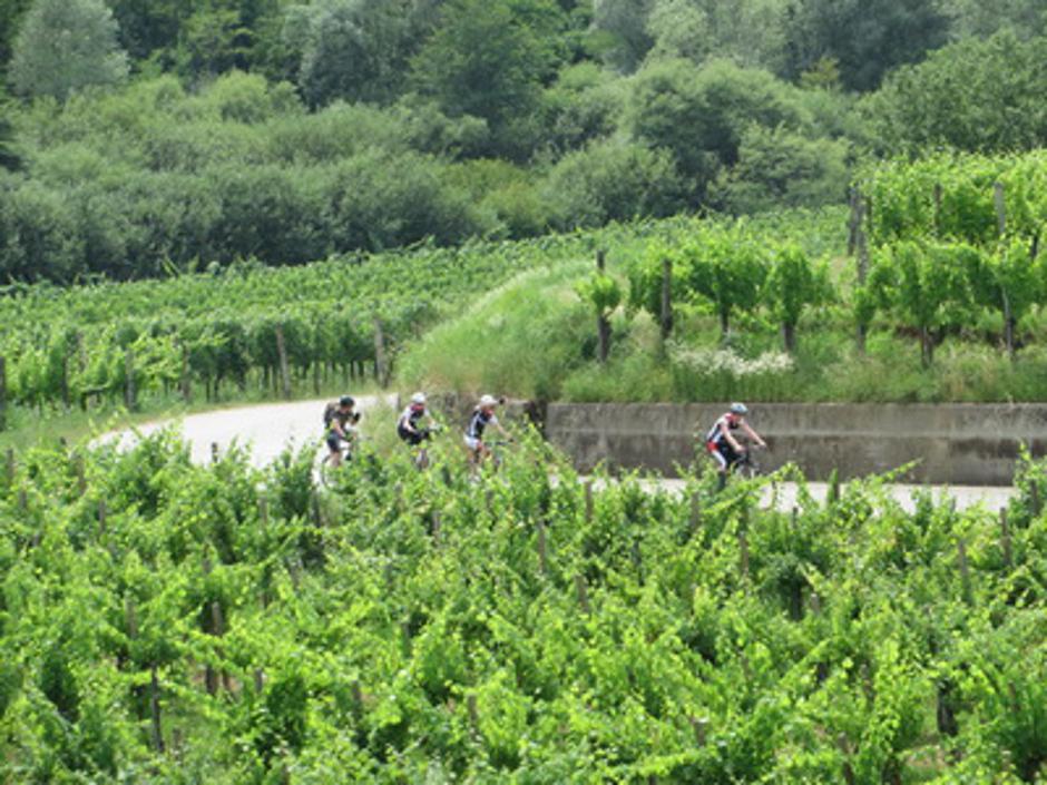 kolesarjenje po Primorskem | Avtor: Kolesarsko društvo Raketa