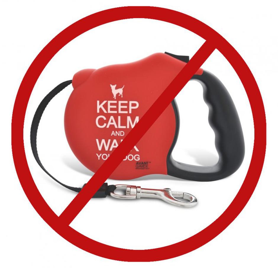 Teacher's: Vir: The Teacher's Pets blog | Avtor: Teacher's: Vir: The Teacher's Pets blog