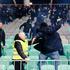 konferenčna liga NK Olimpija - NK Borac