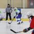 hokej Slovenija