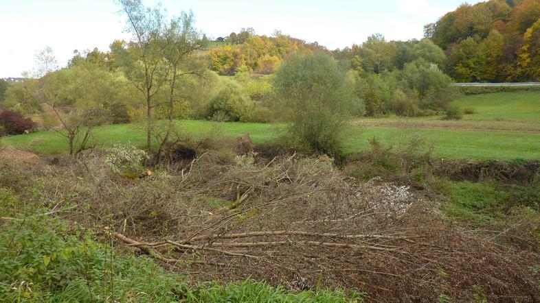 Bralec, ki nas je opozoril na pravi “masaker” ob brežini Sotle, je imel prav. Šl