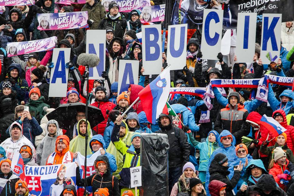 Zlata Lisica slalom | Avtor: Saša Despot