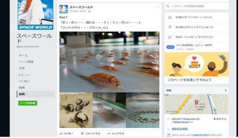 Zamrznjene ribe | Avtor: Facebook