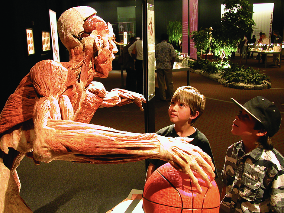 Body Worlds Vital | Avtor: Body Worlds Vital