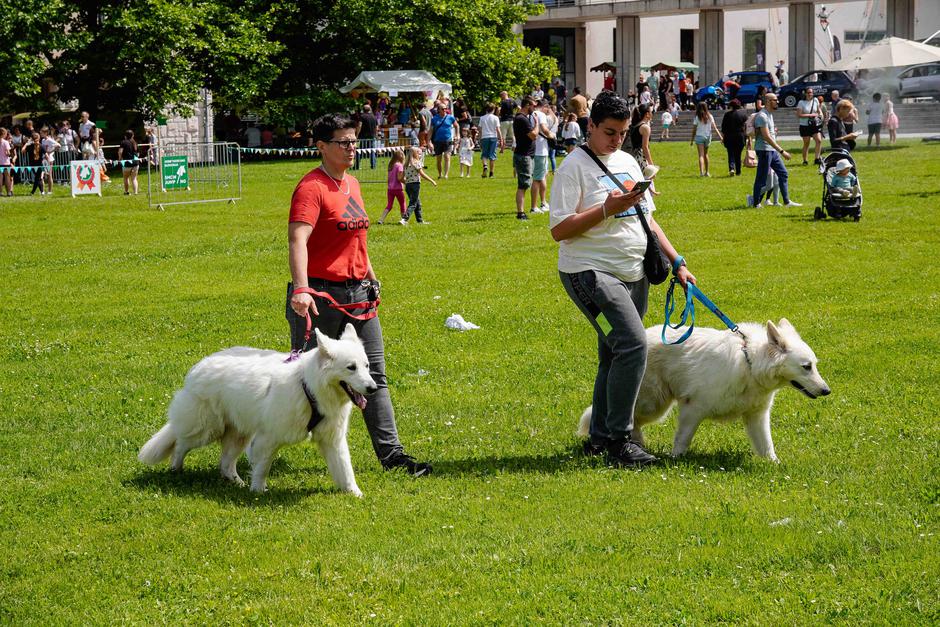 festival za ljubitelje živali | Avtor: Matija Janezic