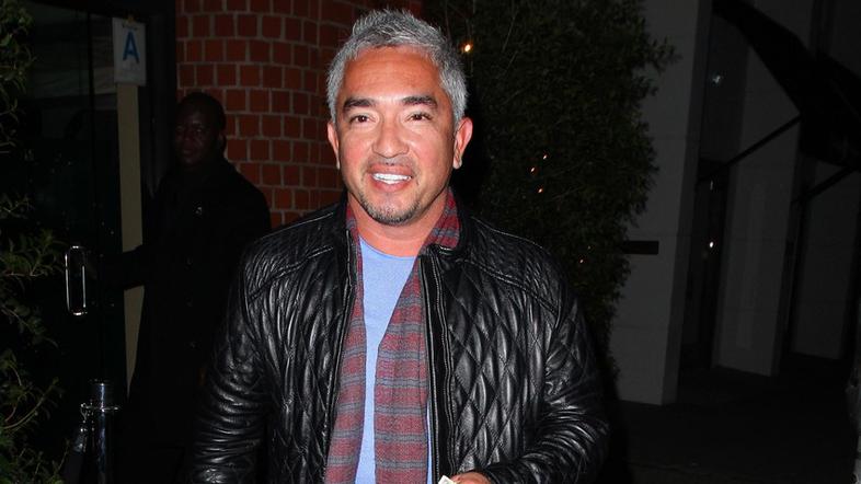 cesar millan