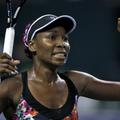 Venus Williams