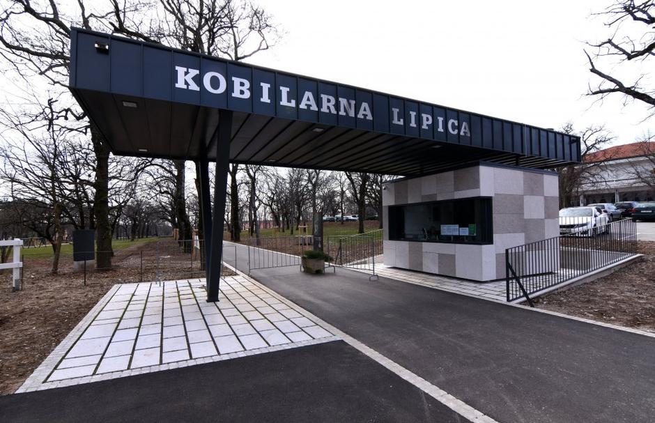 Kobilarna Lipica | Avtor: Žurnal24 main