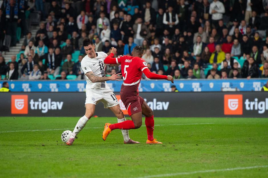 Slovenija - Švica | Avtor: Anže Petkovšek