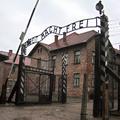 V Auschwitz je bilo pripeljanih okoli 1,3 milijona ljudi – od lakote, izčrpanost