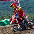 Tim Gajser