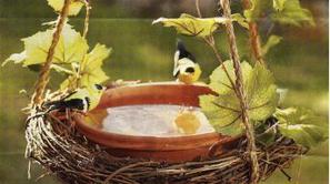 Vikend projekt: poletna ohladitev