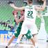 smodiš sulejmanović union olimpija krka dvorana stožice finale