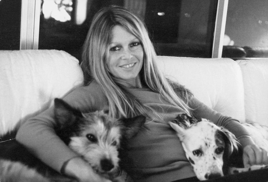 Brigitte Bardot | Avtor: Profimedia