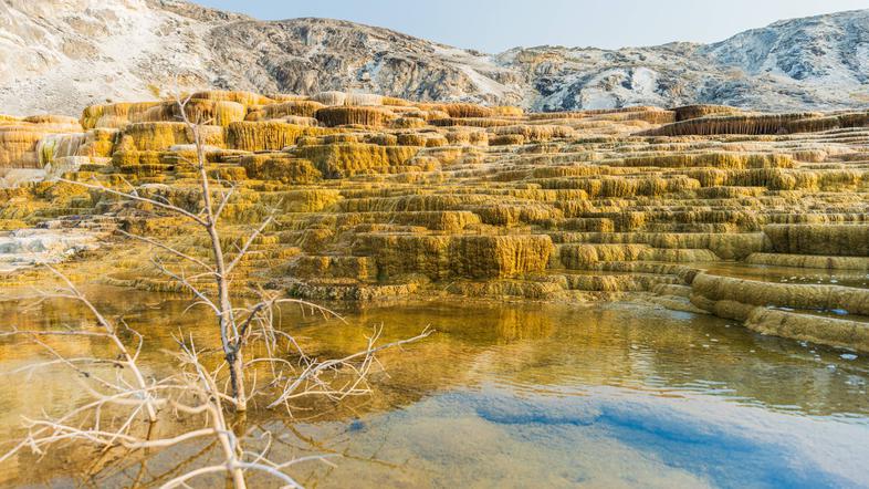 Yellowstone