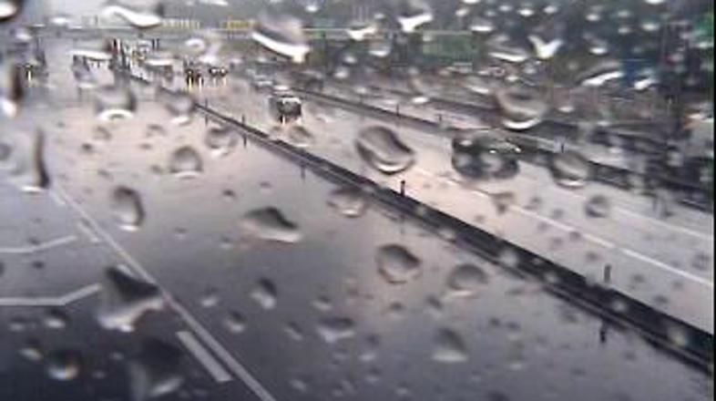 Cestninska postaja Torovo