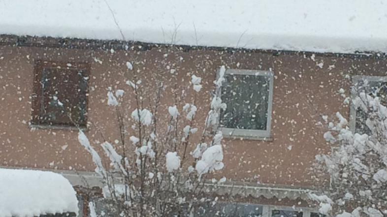 Novo sneženje na Gorenjskem